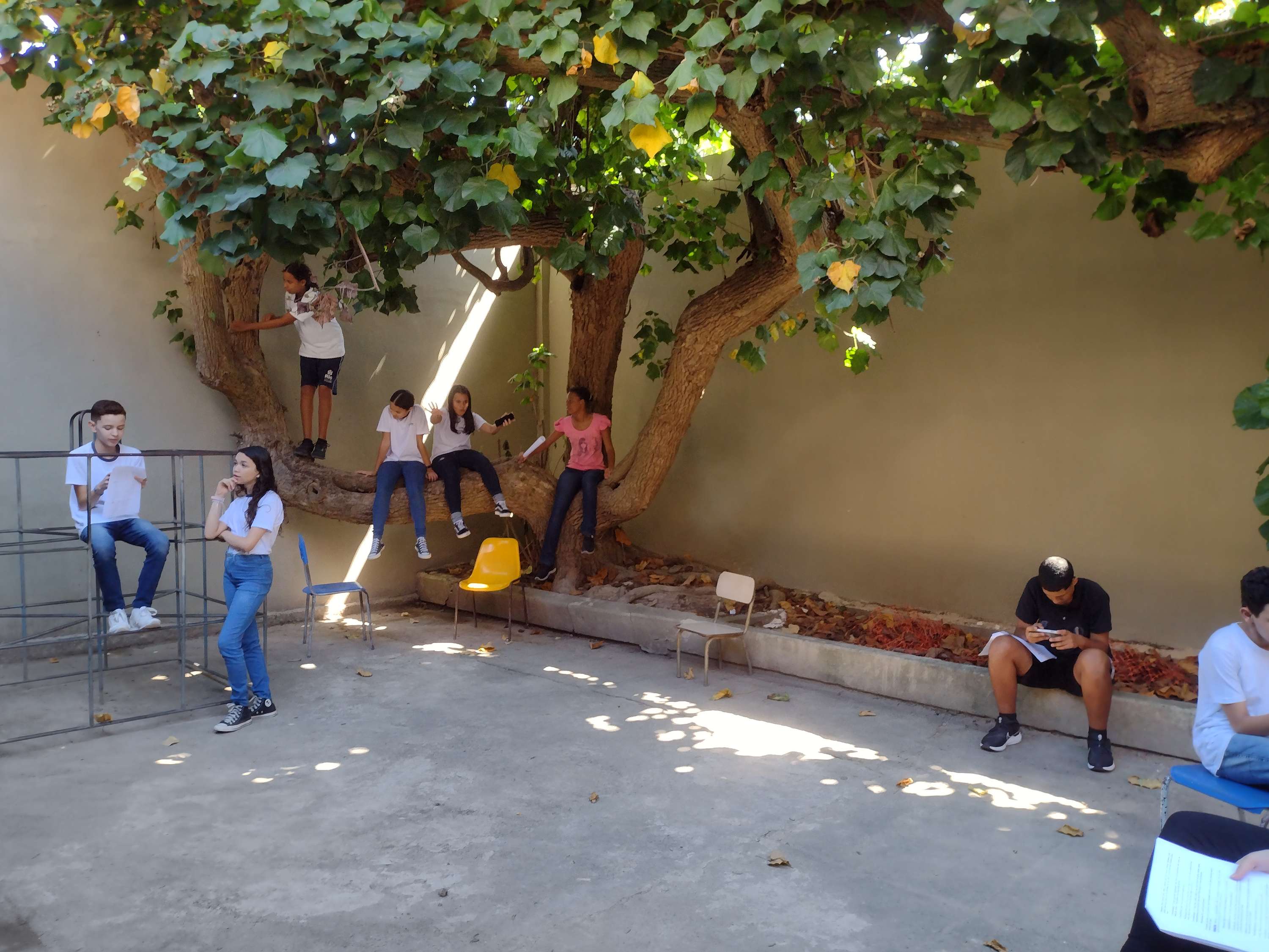Brincadeira — foto 11